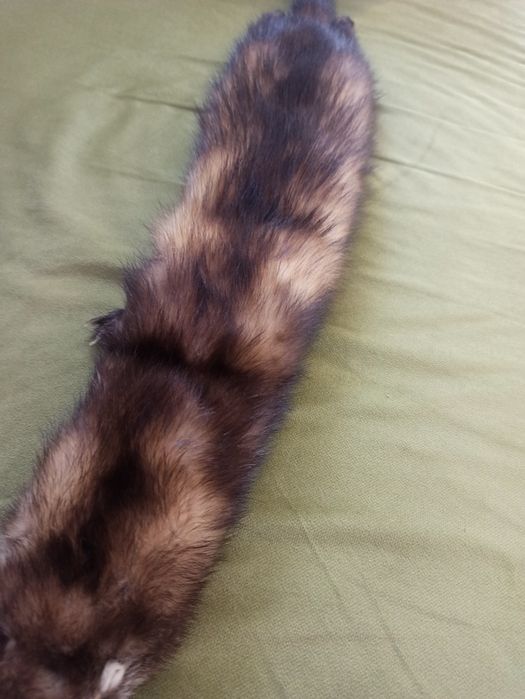 Szalik skórzany kołnierz