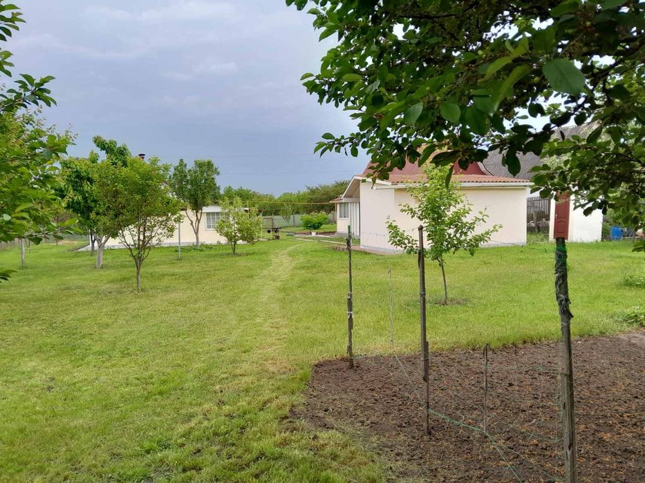 Продається садиба з будинком і присадибними будівлями.