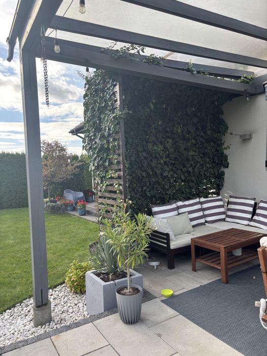 Zadaszenie tarasu drewniane z poliweglanem litym 4.6x4