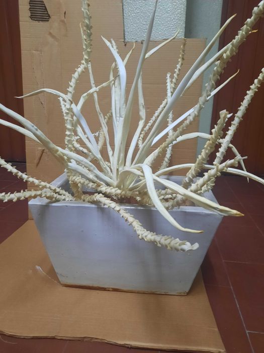 Vaso / floreira em grês