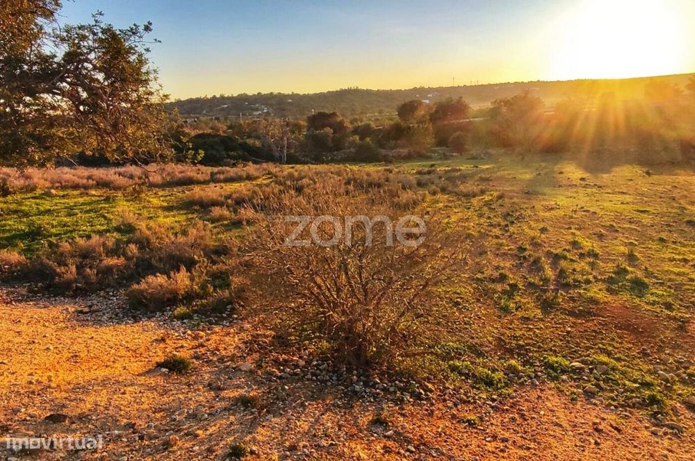 Terreno Rústico – Tunes, Silves | 1.480 m²