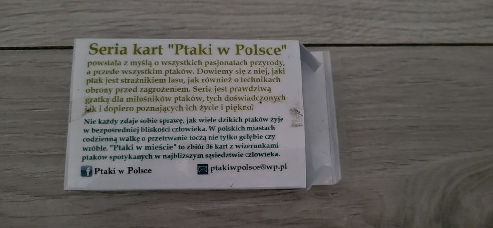 Karty Ptaki w mieście