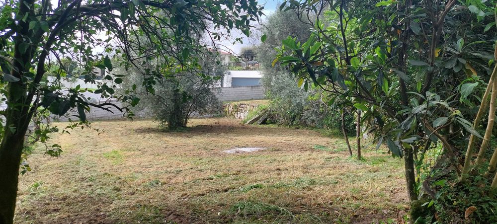 Quintinha Centenária em Pedra com 2.000 m² – Fonte Arcada, Póvoa de Lanhoso