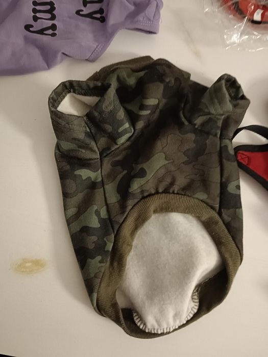 Wyprawka dla psa, obroża szelki sweter