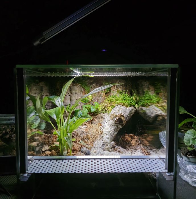 Terrarium na zamówienie | Bioaktywne | Ścianka strukturalna