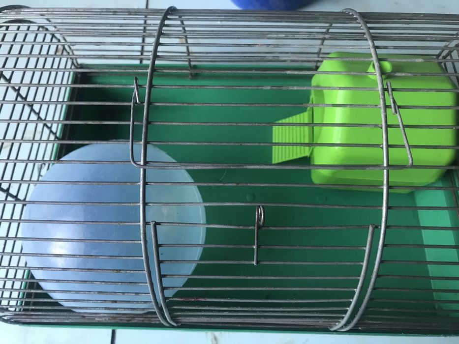 Клітка для хомяка