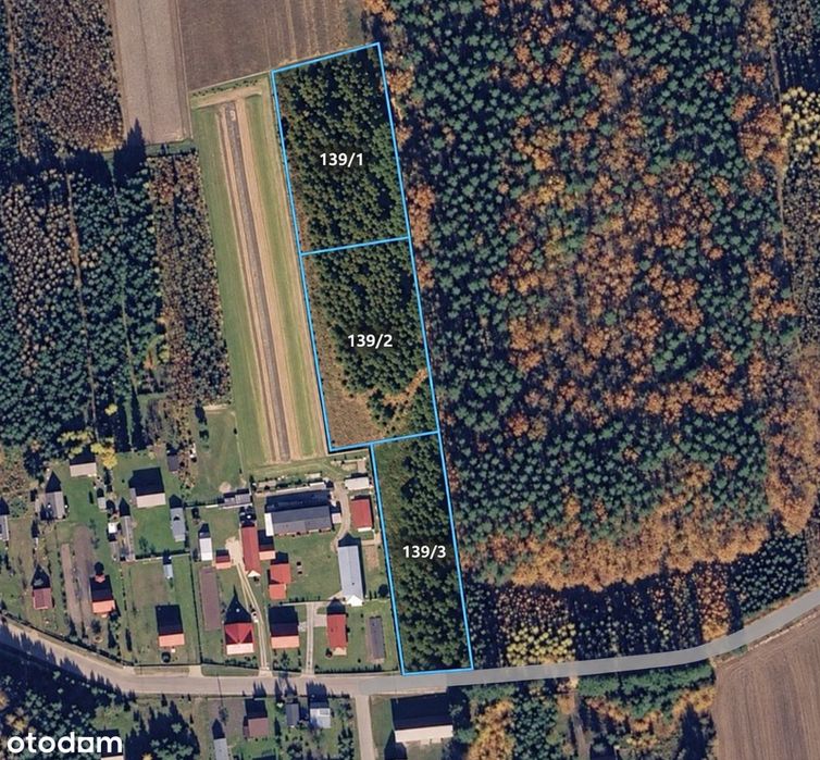 Werpol | Działka 3193 m² | WZ na zabudowę zagrodową
