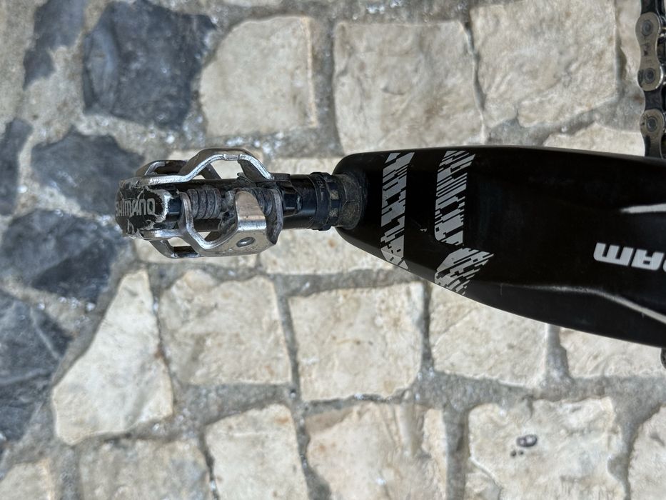 Scott scale 925 carbono