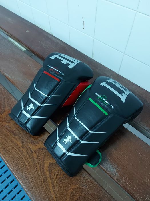 Luvas leone full performance 14oz