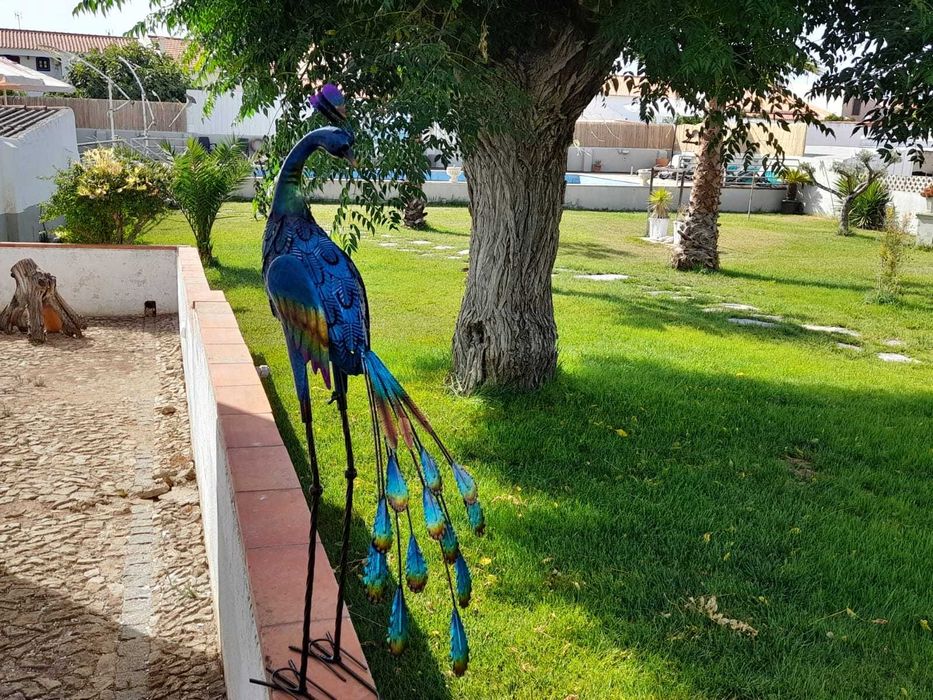 Casa ampla no Alentejo. Sala jogos, piscina e jardim