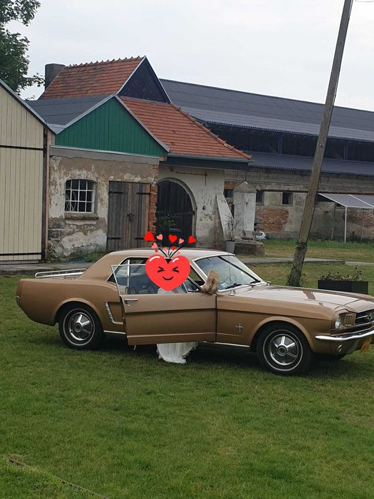Auta do ślubu i nie tylko...