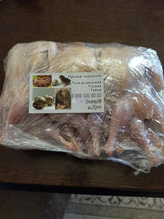 Продам домашне м'ясо перепілки