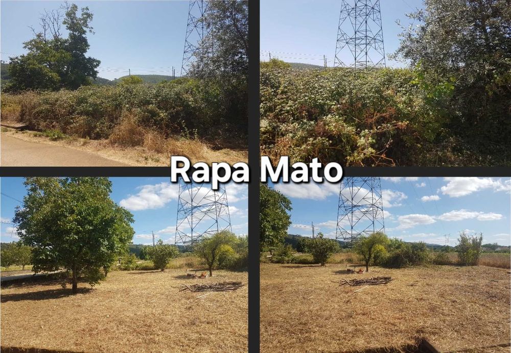 Limpamos terreno e matas à partir de 0,78€/m² - Coimbra e arredores
