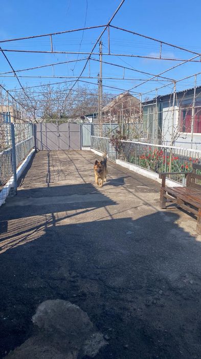 Приватний будинок