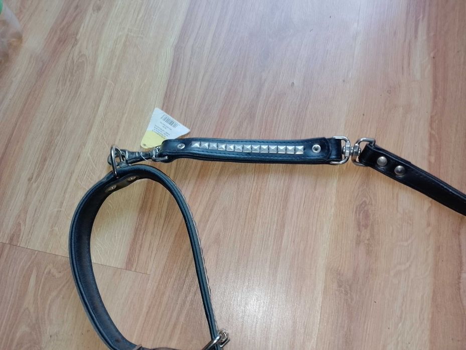 Smycz zobrożą duży pies+GRATIS