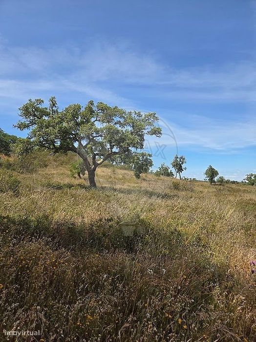 Terreno  para venda