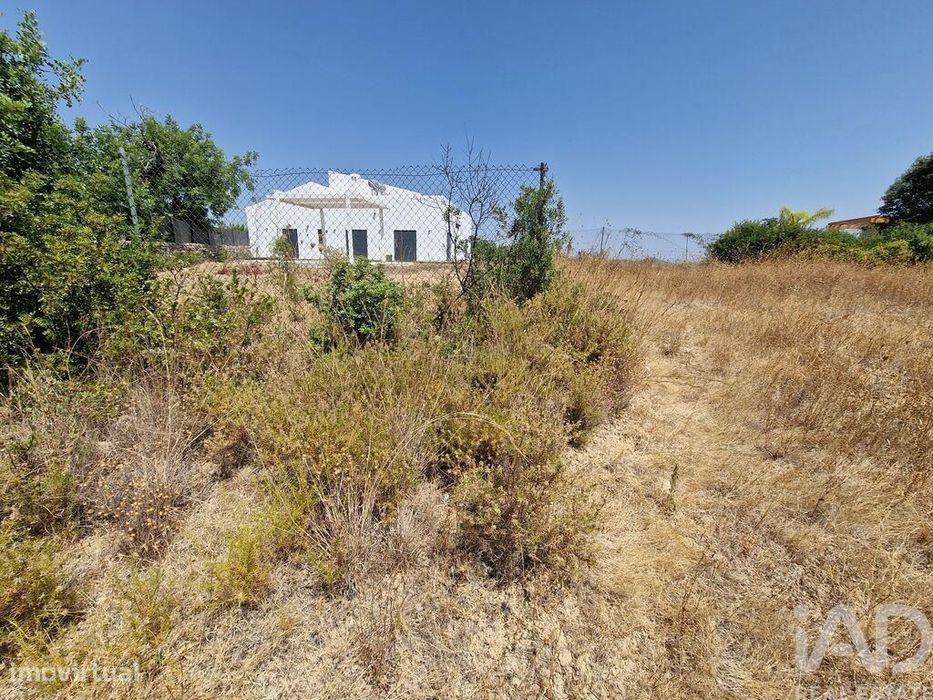 Terreno Agrícola em Santa Bárbara de Nexe