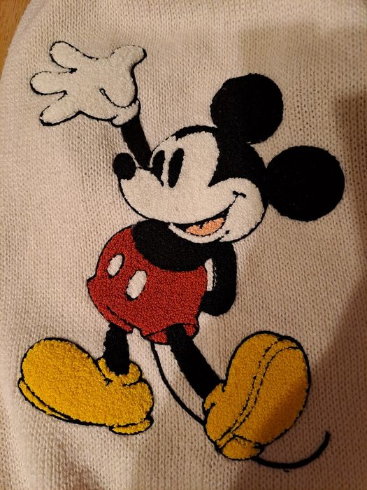 Super ubranko dla psa firmy Disney H&M