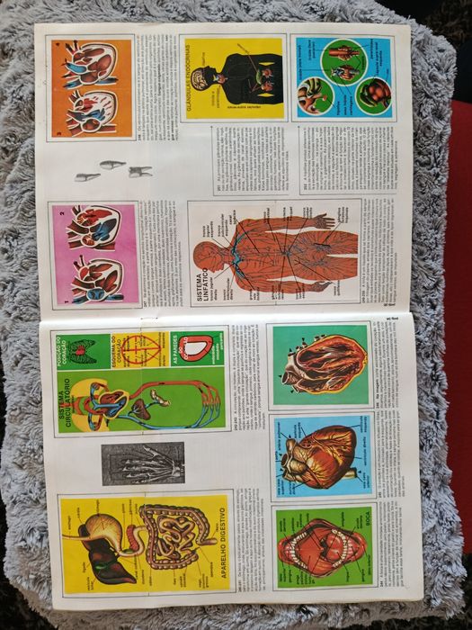 Caderneta de cromos CIÊNCIAS  (Completa)