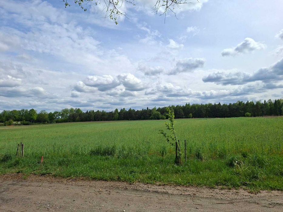 Działka na sprzedaż, Łukta
