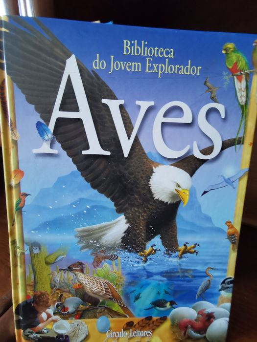 Coleção 10 livros