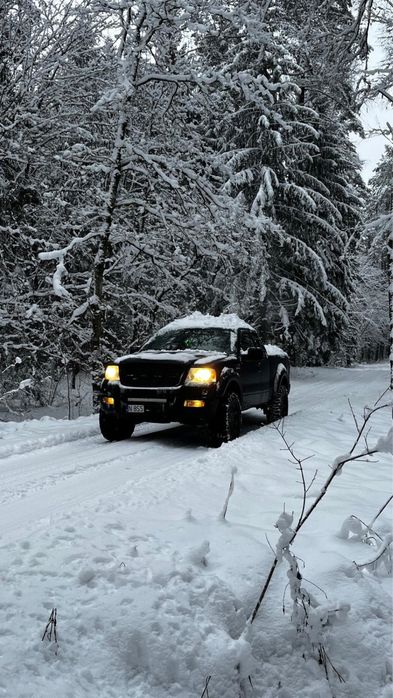 Ford F150 4x4 4.6 V8 LPG Lift Koło 35 cali