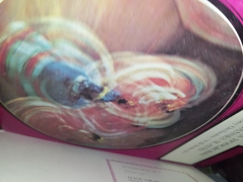 Vários discos vinil vendo tudo junto