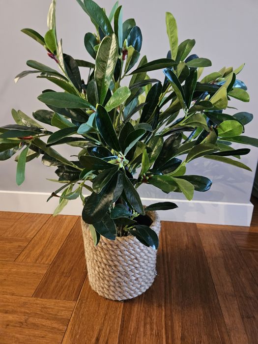 Kwiat sztuczny cynamon 75 cm