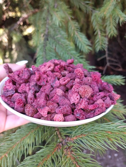 Суха,сушена малина ЛІСОВА, лесная ягода малина