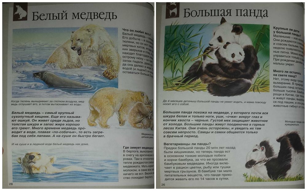 Детские книги Энциклопедии Животные енциклопедія Махаон