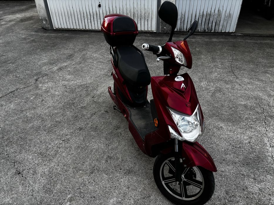 Mota eletrica raider 250 (red)
