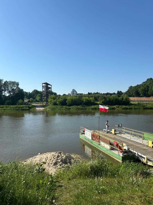 Na sprzedaż grunty leśne – Bużyska, gm. Korczew - Widok 5