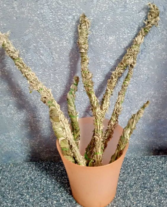 Скрутки з полину, шавлії