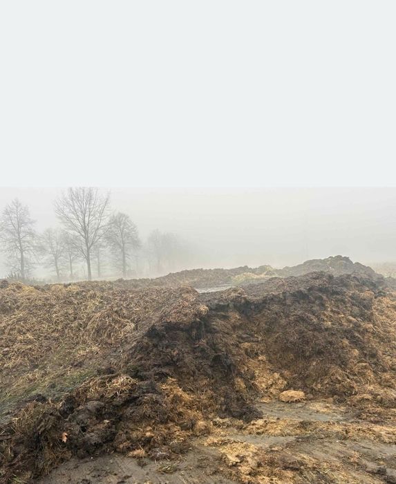 Obornik bydlęcy z transportem