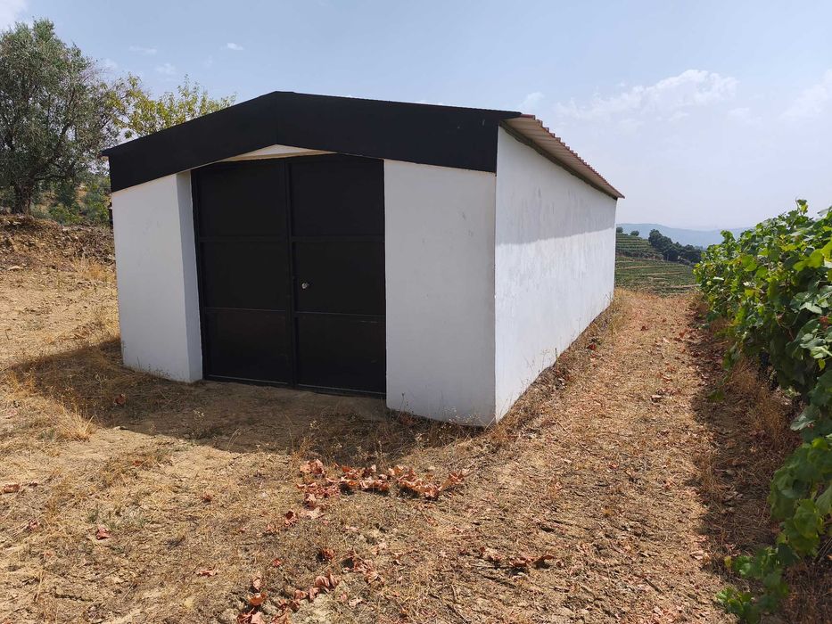 Vende-se terreno agrícola com vinha e benefício no Douro