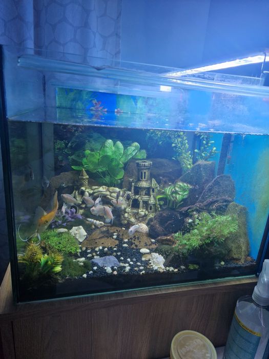 Sprzedam akfarium 95l