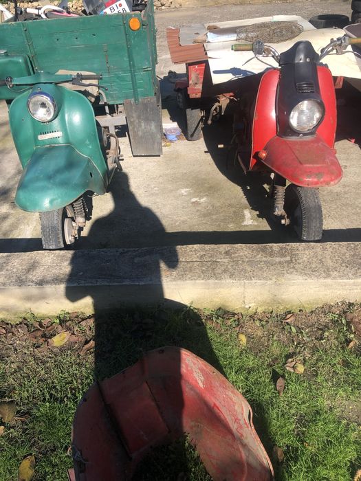 Муравей на ходу и документы