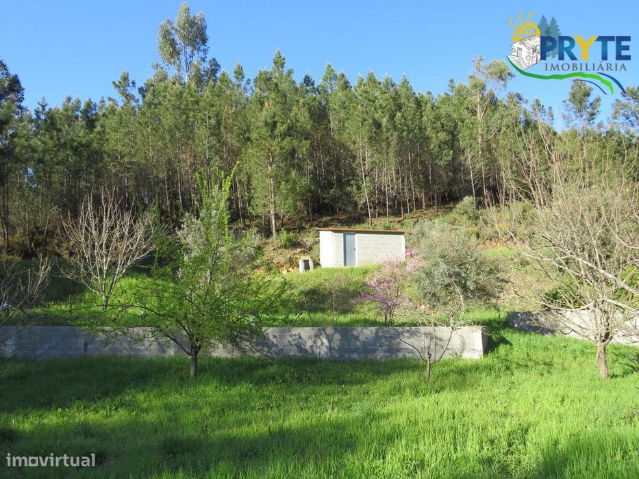 Terreno de cultivo a confinar com a Ribeira da Tamolha — Sertã, Castelo Branco
