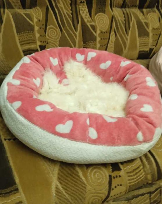 Лежанки для котов или мелких собачек.