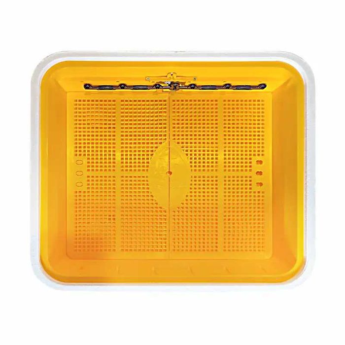 Інкубатор автоматичний Теплуша 88 AQUA (220/12в)