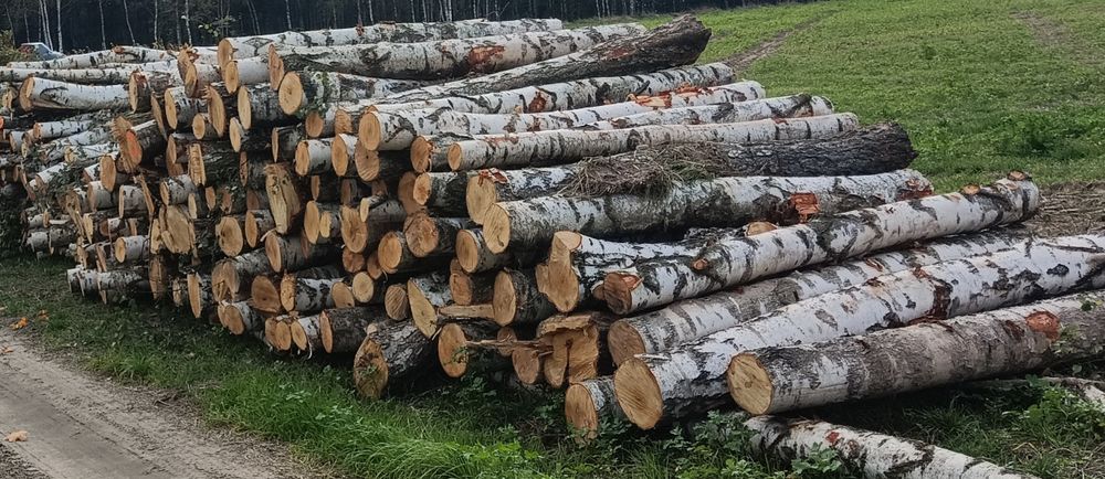 Drewno kominkowe do kominka, opałowe