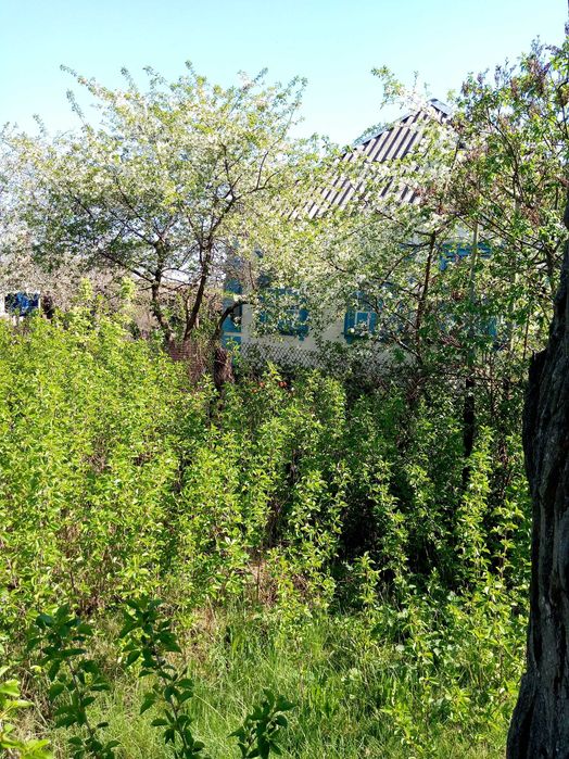 Продам Дим в сели Медове