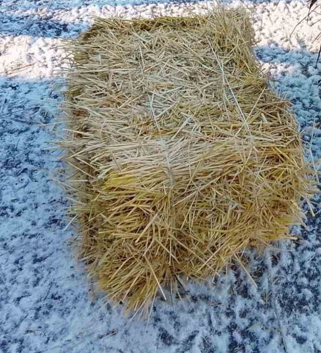Тюки соломи ячмінні