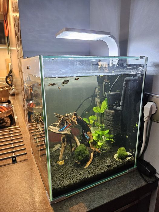 Akwarium kompletne kostka 30L+ grzałka aqueli, filtr i akcesoria.