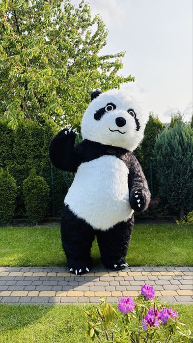 Maskotka na impreze striptizerka striptizer Miś Panda Królik Animacje