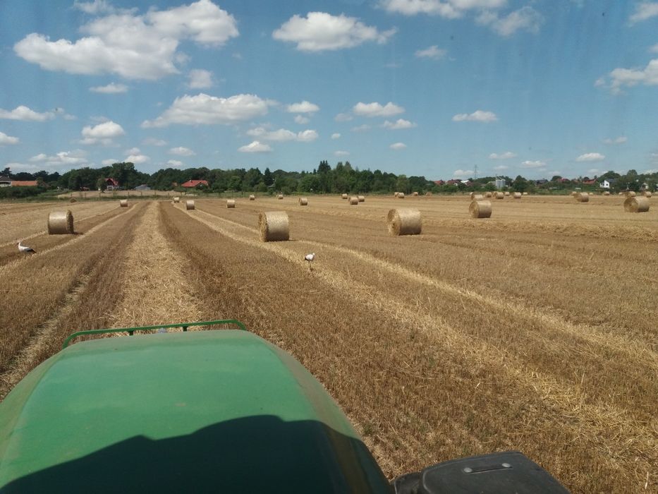 Słoma w belach , baloty