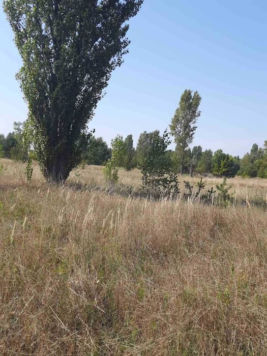 Сувид, 25 соток для будівництва, обжитий район