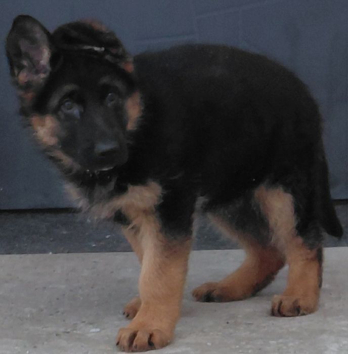 Чудові хлопці та дівчата