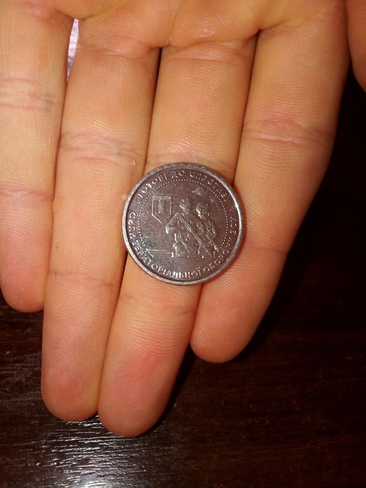 Копійка Сили Територіальної Оборони