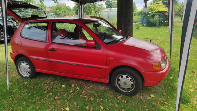 Polo Sdi Samochody osobowe OLX.pl